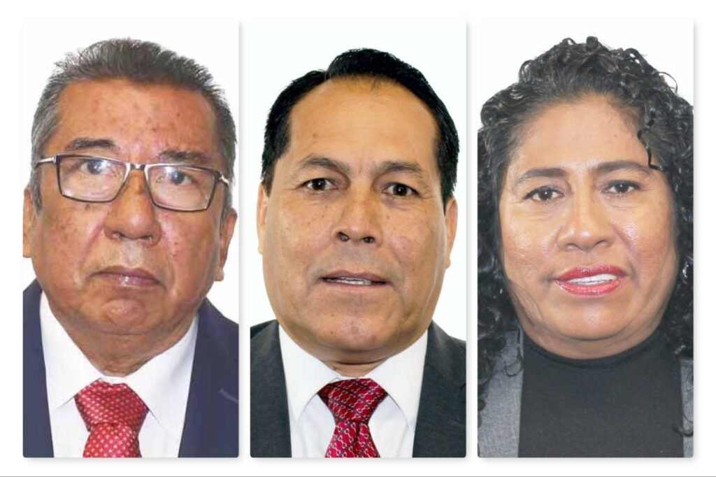 3 diputados federales de Morena Guerrero, los más improductivos en el  Congreso de la Unión - El Sol de Chilpancingo